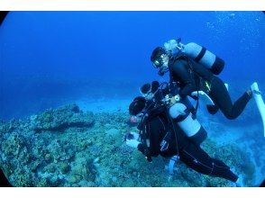 プランの魅力 Super comfortable! Full face mask complete ☆ Experience diving! の画像
