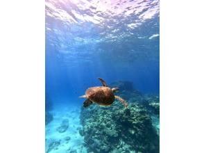プランの魅力 What is experience diving? ?? の画像