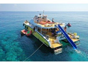 プランの魅力 Cho comfortable, easy dive with face mask included の画像