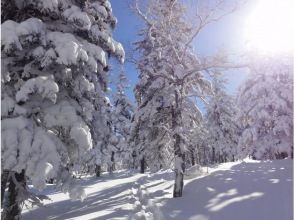 プランの魅力 雪の結晶が見えるほどふわふわなパウダースノーが楽しめる十勝岳。景色も見どころの1つです!! の画像