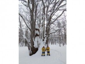 プランの魅力 1日おまかせコース・森の神様 の画像