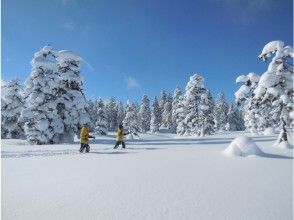 プランの魅力 One-day entrusted course-The world of sky blue and powder の画像