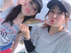 プランの魅力 の画像