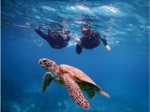 プランの魅力 與海龜合影 の画像