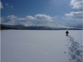 プランの魅力 Shirogane Onsen Power Spot Tour / Shirogane Model Ranch Heavy Snowfield の画像