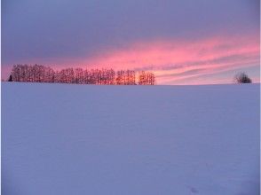 プランの魅力 Biei Shirokane no Mori 1-day course Mild Seven Hills Sunset の画像