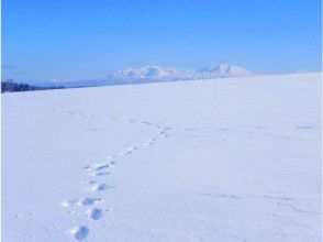 プランの魅力 北西の丘から旭岳方面 の画像