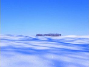 プランの魅力 轻度七山 の画像