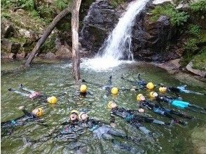 プランの魅力 Everyone is fluffy in the natural pool の画像