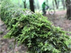 プランの魅力 甚至在雨中享受♪ の画像