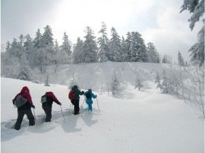 プランの魅力 罗素也将略微提高高度 の画像