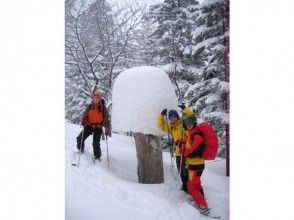 プランの魅力 Snow and tree objects are one of the pleasures in the forest. の画像