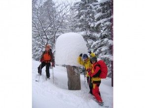 プランの魅力 森の中では雪と樹木のオブジェも楽しみのひとつです の画像