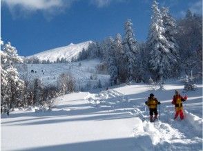 プランの魅力 凝视十胜山脉的群山时，轻轻地走过蓬松的雪。 の画像