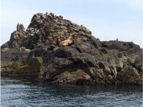 プランの魅力 トド の画像