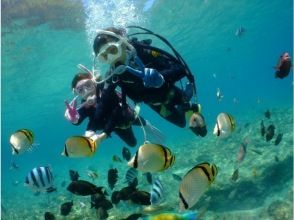 プランの魅力 You can enjoy the blue cave in standard underwater time !! の画像