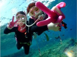 プランの魅力 水中写真がとにかくキレイ!! の画像