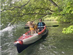 プランの魅力 愛犬と一緒 の画像