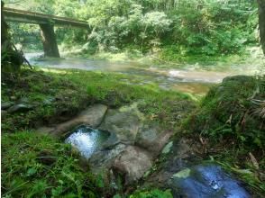 プランの魅力 生水（湧き水） の画像