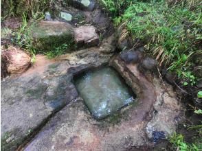 プランの魅力 生水（湧き水） の画像