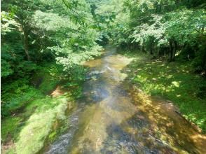 プランの魅力 橋の上からの景色 の画像