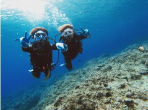 プランの魅力 ★無重力の水中世界★ の画像