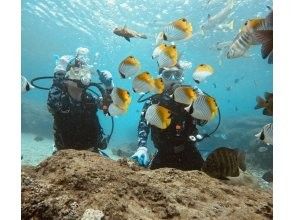 プランの魅力 ★熱帯魚への餌付け体験★ の画像