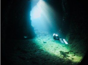 プランの魅力 ★ Weightless underwater world ★ の画像