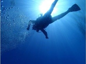 プランの魅力 綺麗な海 の画像