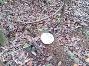 プランの魅力 日本軍の食器など の画像