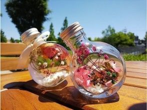 プランの魅力 の画像