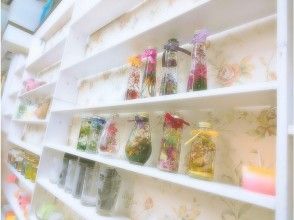 プランの魅力 の画像