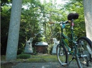 プランの魅力 小さな島の冒険です の画像