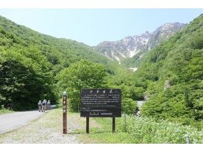 プランの魅力 歩いた先には... の画像