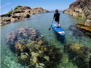 プランの魅力 Scenery unique to Iwaba の画像