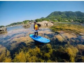 プランの魅力 透明度はNO1 の画像