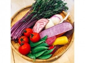 プランの魅力 Fresh and colorful Kamakura vegetables の画像