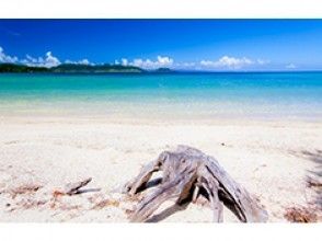 プランの魅力 Natural beach in front of the hotel の画像