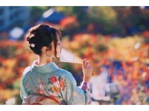 プランの魅力 の画像