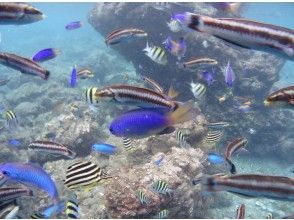 プランの魅力 雨の日でも楽しめます！ の画像