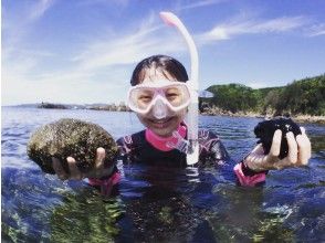 プランの魅力 見て、触って、楽しむ！ の画像