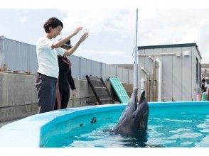 プランの魅力 トレーナー体験 の画像