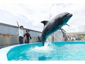 プランの魅力 トレーナー体験 の画像