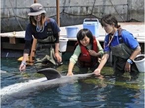 プランの魅力 ふれあい体験 の画像