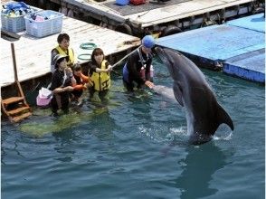 プランの魅力 ふれあい体験 の画像