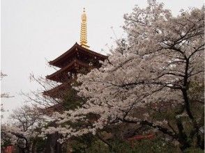 プランの魅力 ​ ​The five-storied pagoda の画像