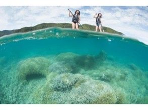 プランの魅力 きれいな海をたのしんで の画像