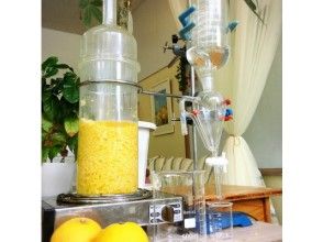 プランの魅力 蒸留 の画像