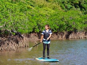 プランの魅力 In mangrove cruising, we aim for "Coola Waterfall" called "Lucky Waterfall" by cruising and trekking along the mangrove river with canoe or SUP. It is an indispensable plan to enjoy the nature of Iriomote Island! The SUP used in PiPi is a wide SUP with outstanding stability, so even beginners can easily cruise. Feel free to stand, sit or lie down on the SUP! One of the guides is to lie down on the mangrove and feel the sunlight through the trees. It is also recommended for beginners because it is a mangrove without waves! We also recommend relaxing cruising with a canoe! の画像