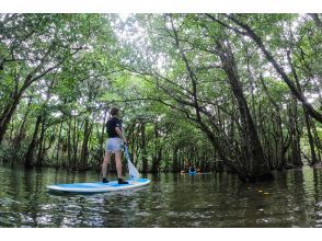 プランの魅力 新感覚!SUP(Stand Up Paddleboading) の画像